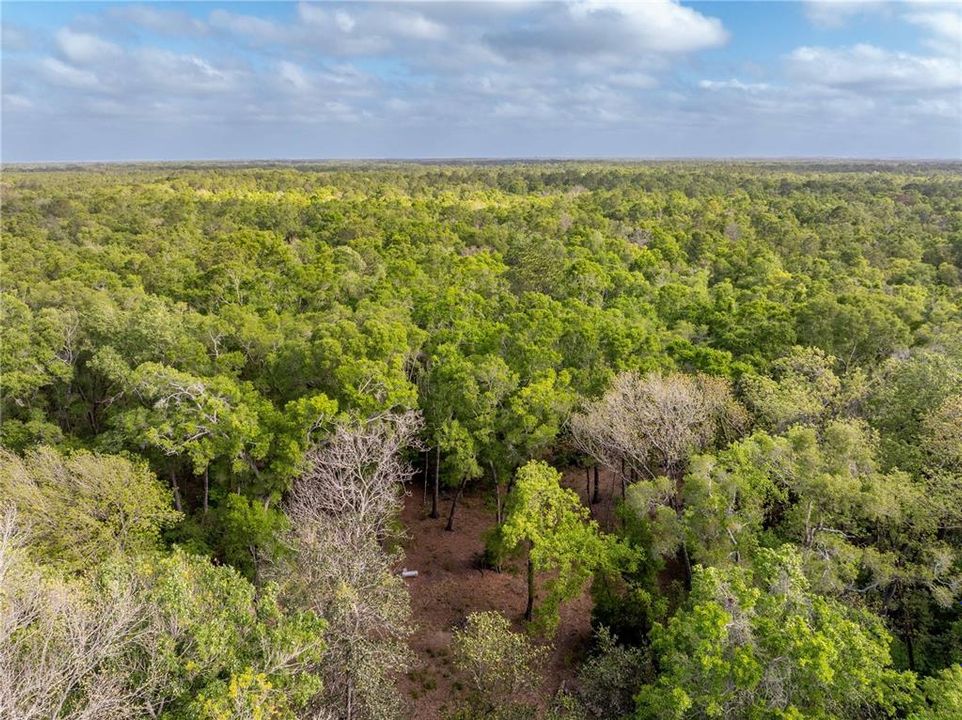 待售: $225,000 (10.00 acres)