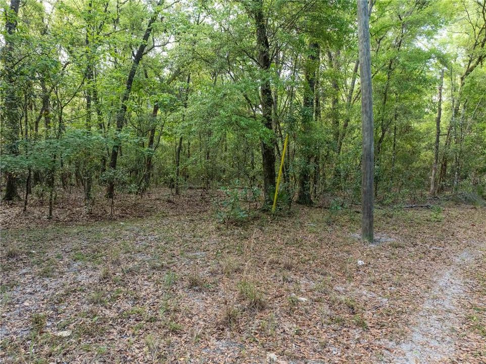 待售: $225,000 (10.00 acres)