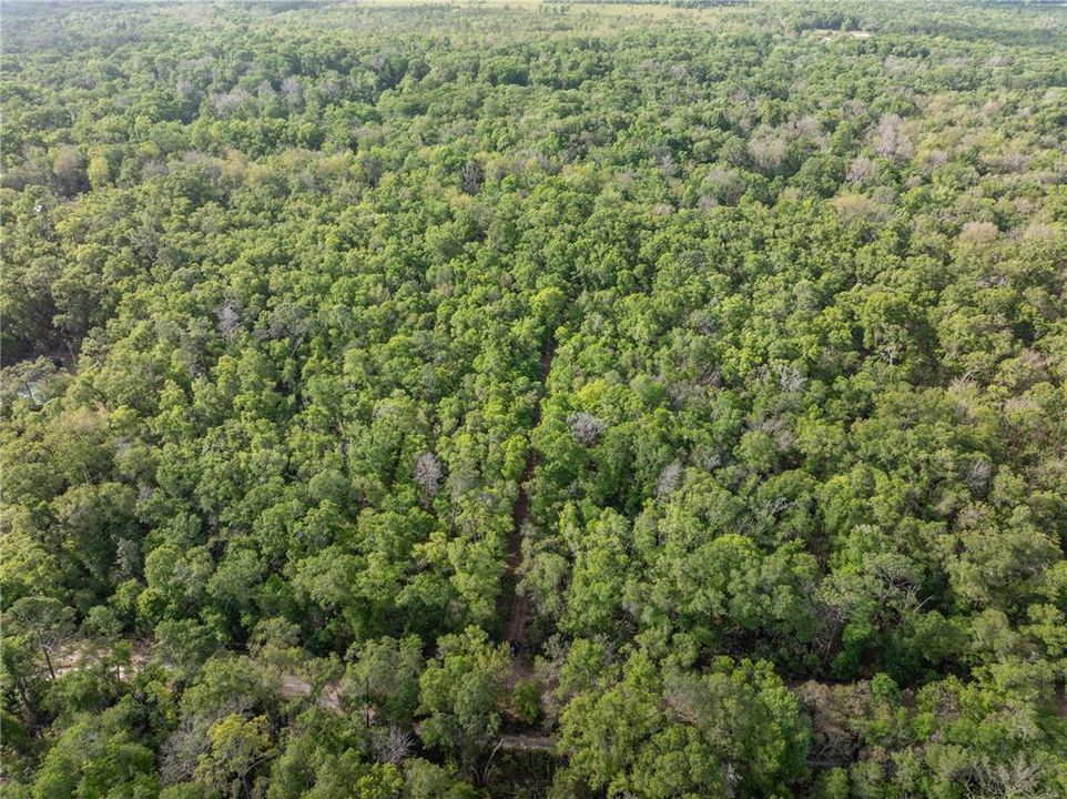 待售: $225,000 (10.00 acres)