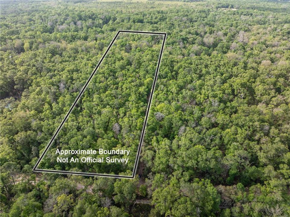 待售: $225,000 (10.00 acres)