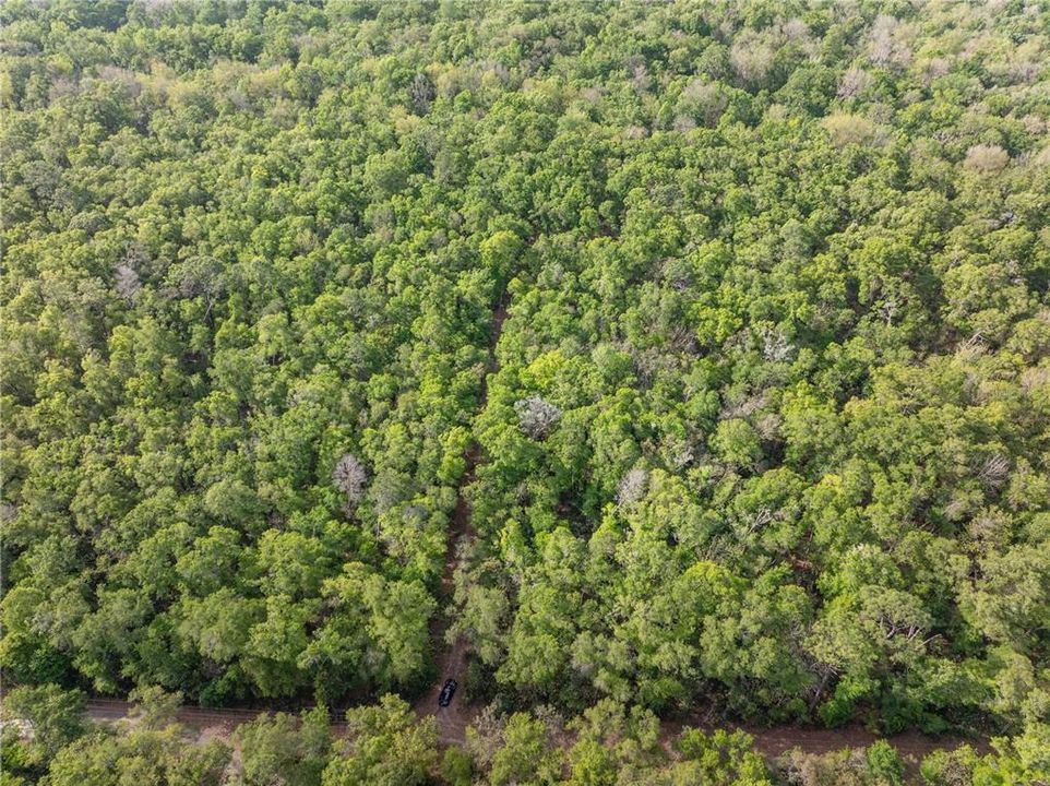 待售: $225,000 (10.00 acres)