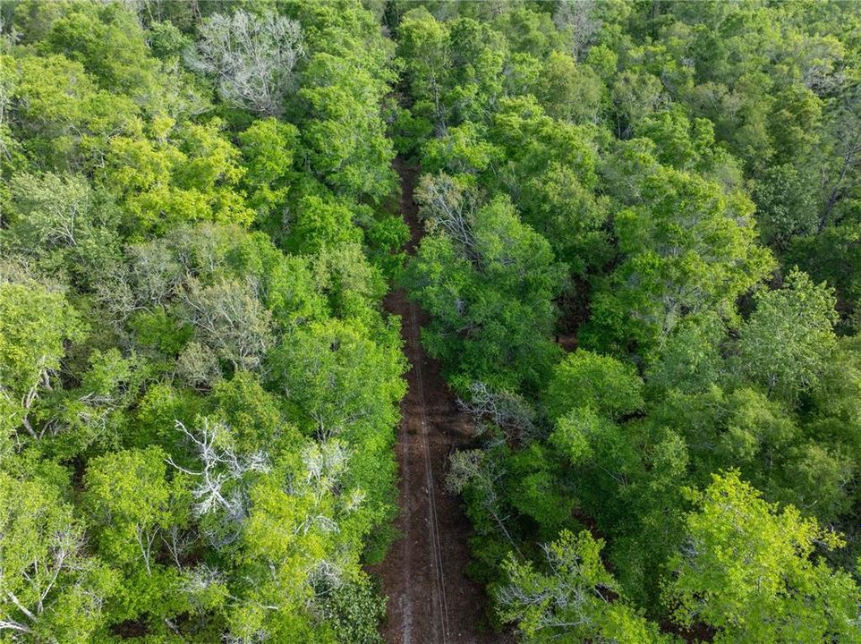 待售: $225,000 (10.00 acres)