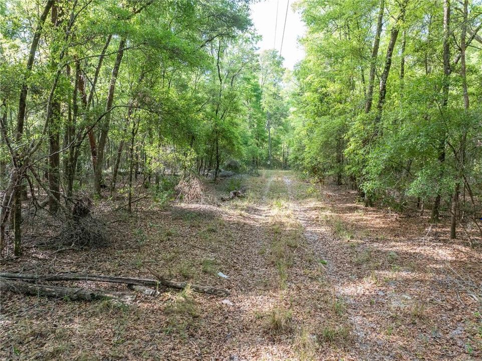待售: $225,000 (10.00 acres)