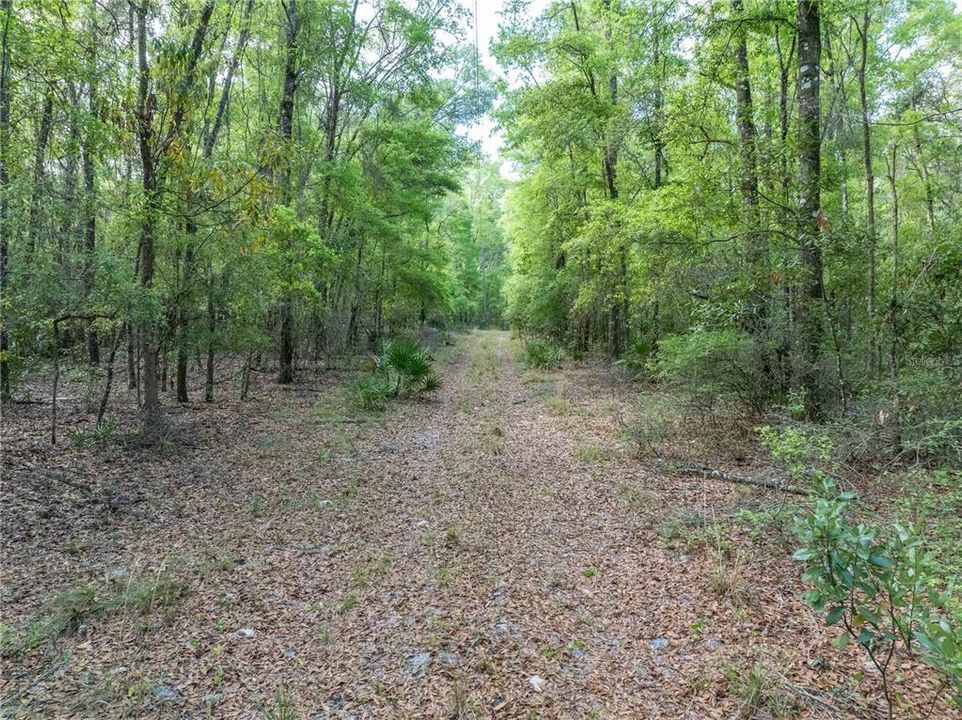 待售: $225,000 (10.00 acres)
