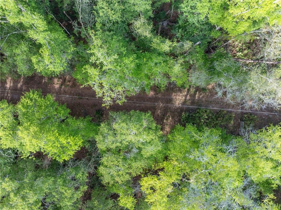 待售: $225,000 (10.00 acres)