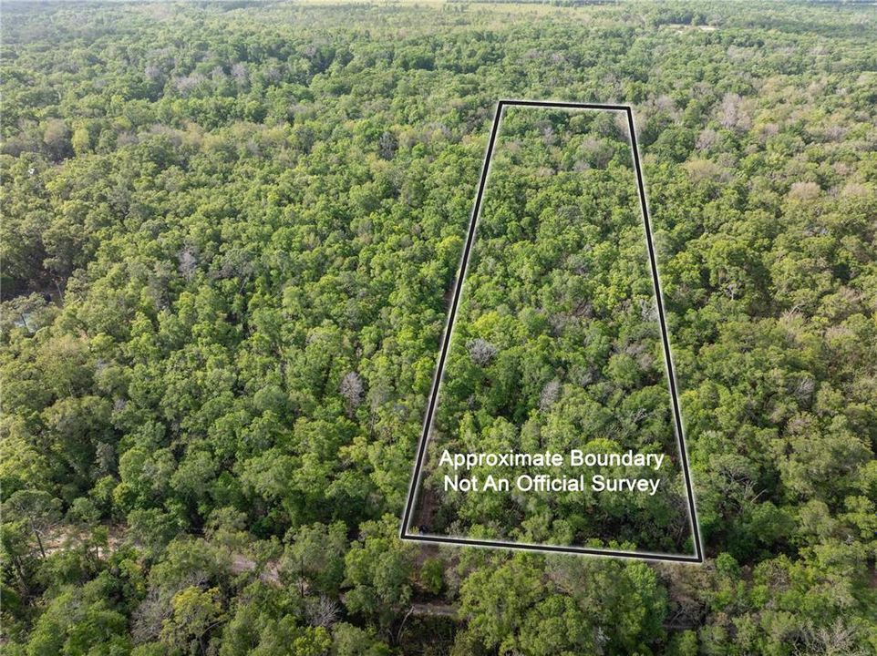 待售: $225,000 (10.00 acres)