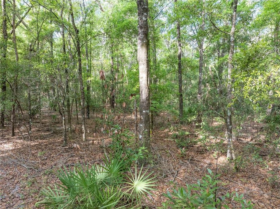 待售: $225,000 (10.00 acres)