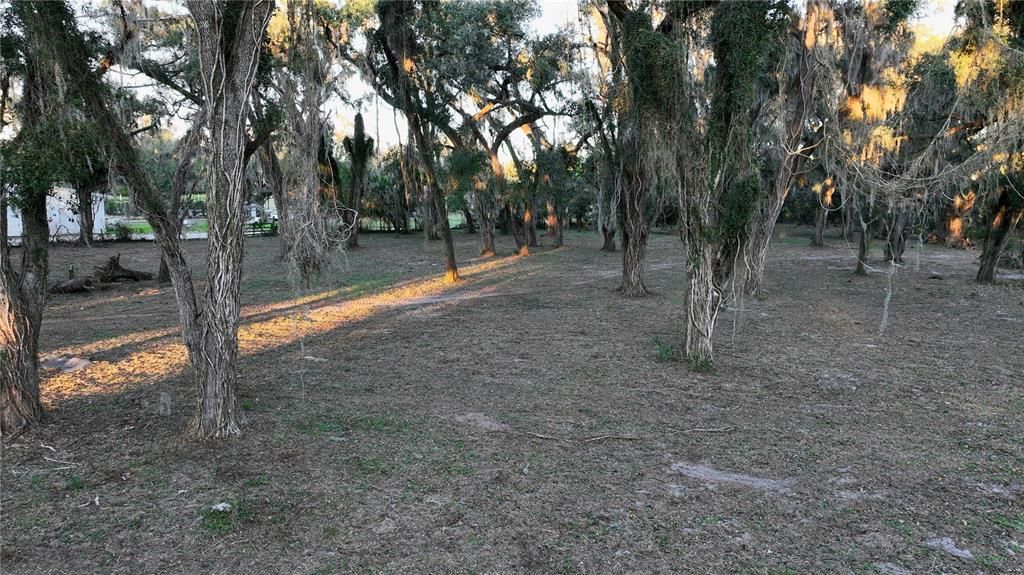 For Sale: $600,000 (5.00 acres)