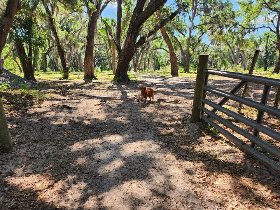 For Sale: $600,000 (5.00 acres)