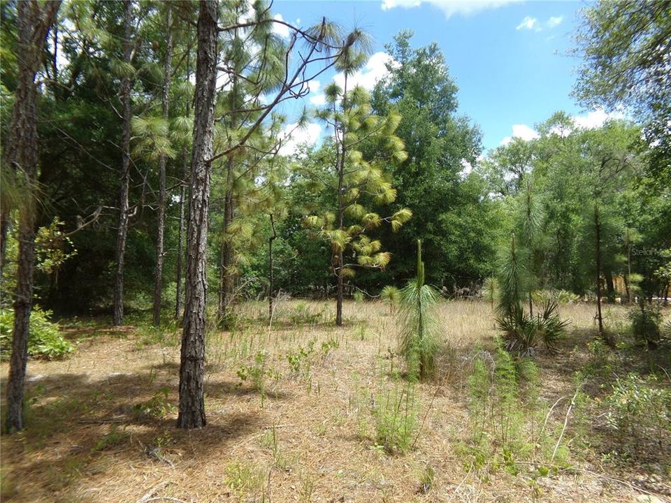 На продажу: $34,500 (0.95 acres)