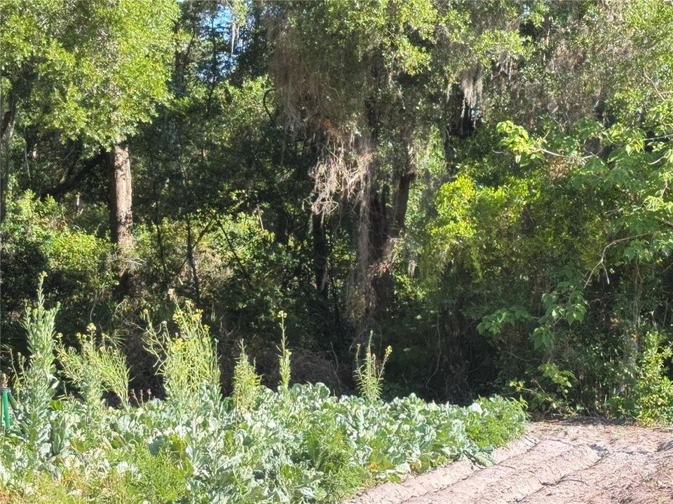 For Sale: $60,000 (0.89 acres)