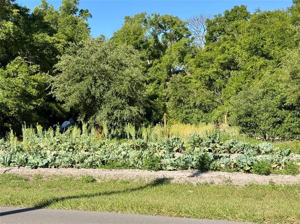 For Sale: $60,000 (0.89 acres)