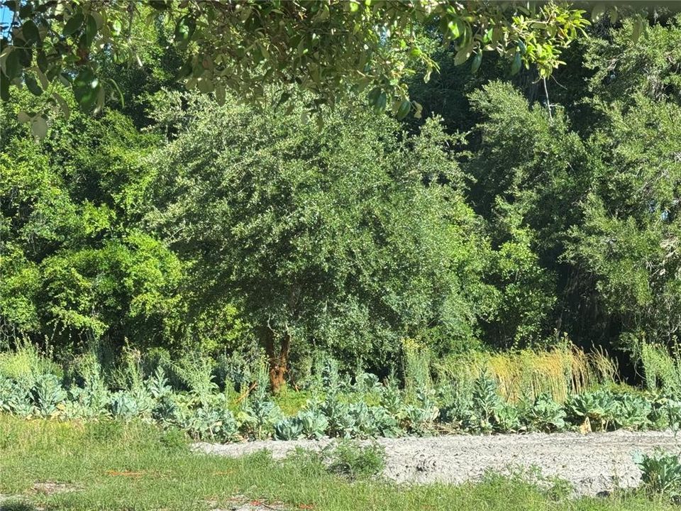 For Sale: $60,000 (0.89 acres)