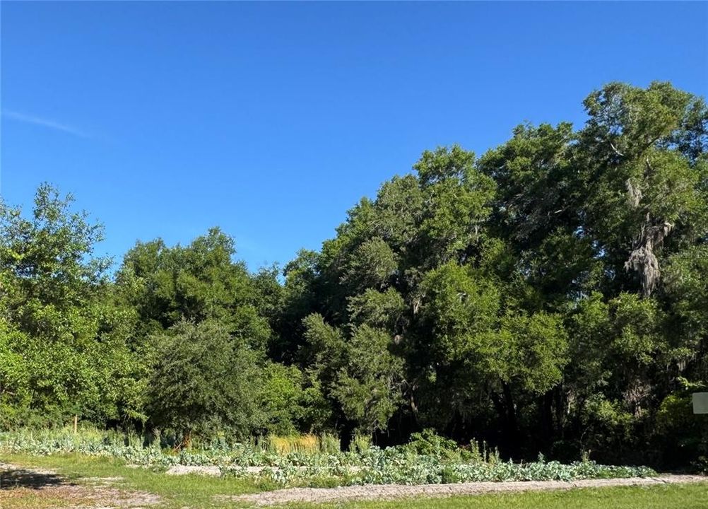 For Sale: $60,000 (0.89 acres)