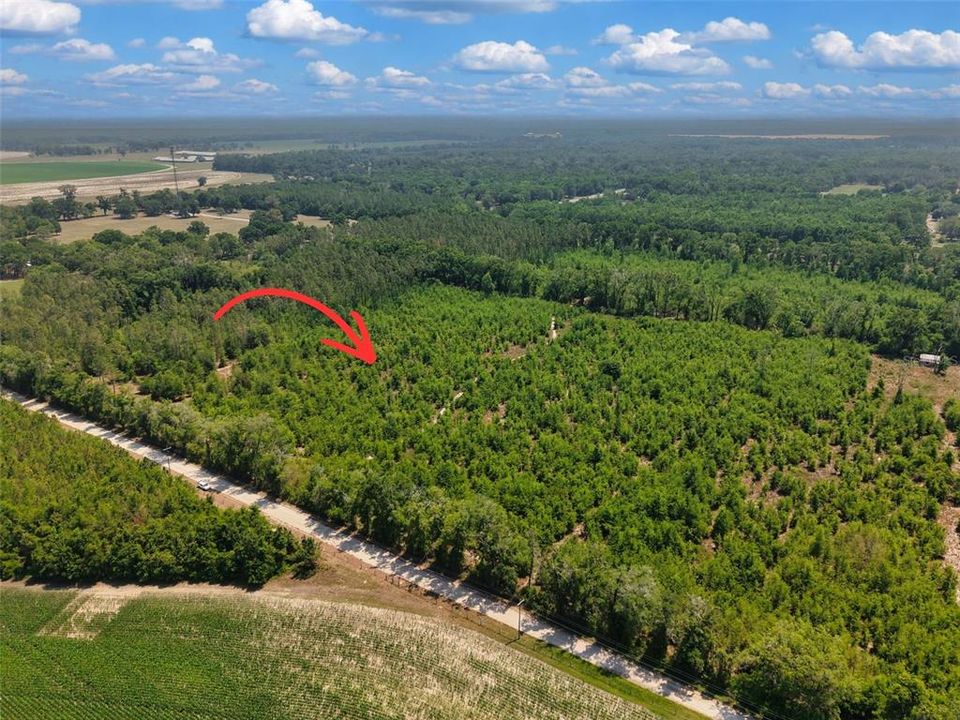 En Venta: $180,000 (20.00 acres)