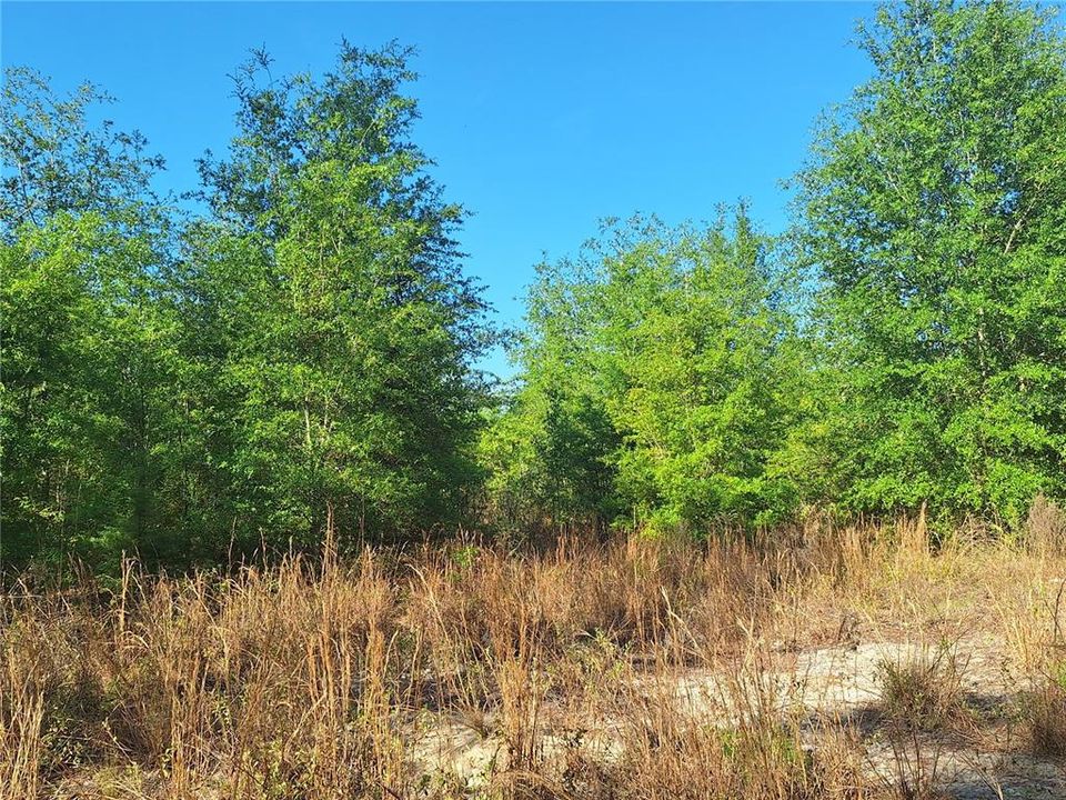 En Venta: $180,000 (20.00 acres)