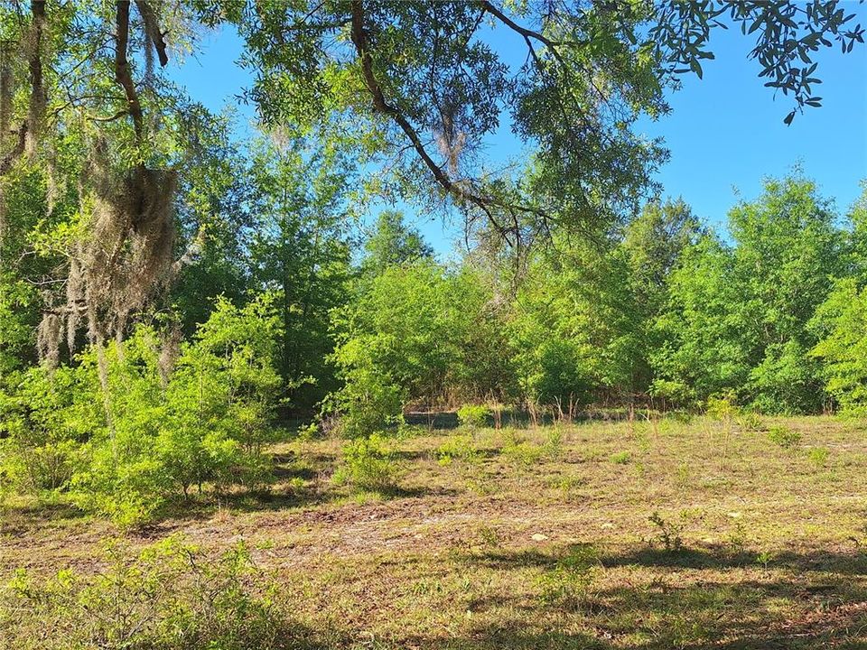 En Venta: $180,000 (20.00 acres)