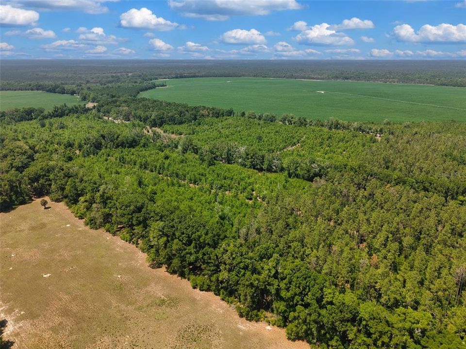 En Venta: $180,000 (20.00 acres)