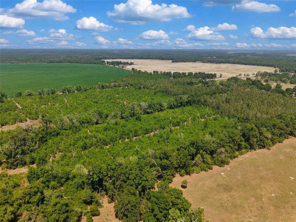 En Venta: $180,000 (20.00 acres)
