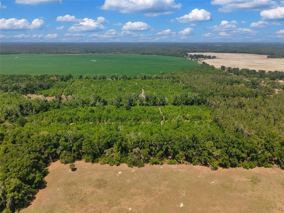 En Venta: $180,000 (20.00 acres)
