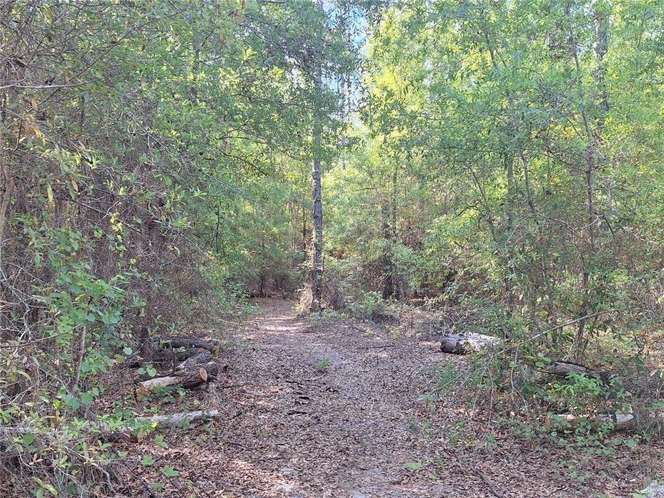 En Venta: $180,000 (20.00 acres)