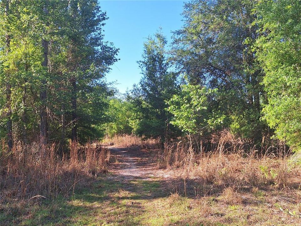 En Venta: $180,000 (20.00 acres)