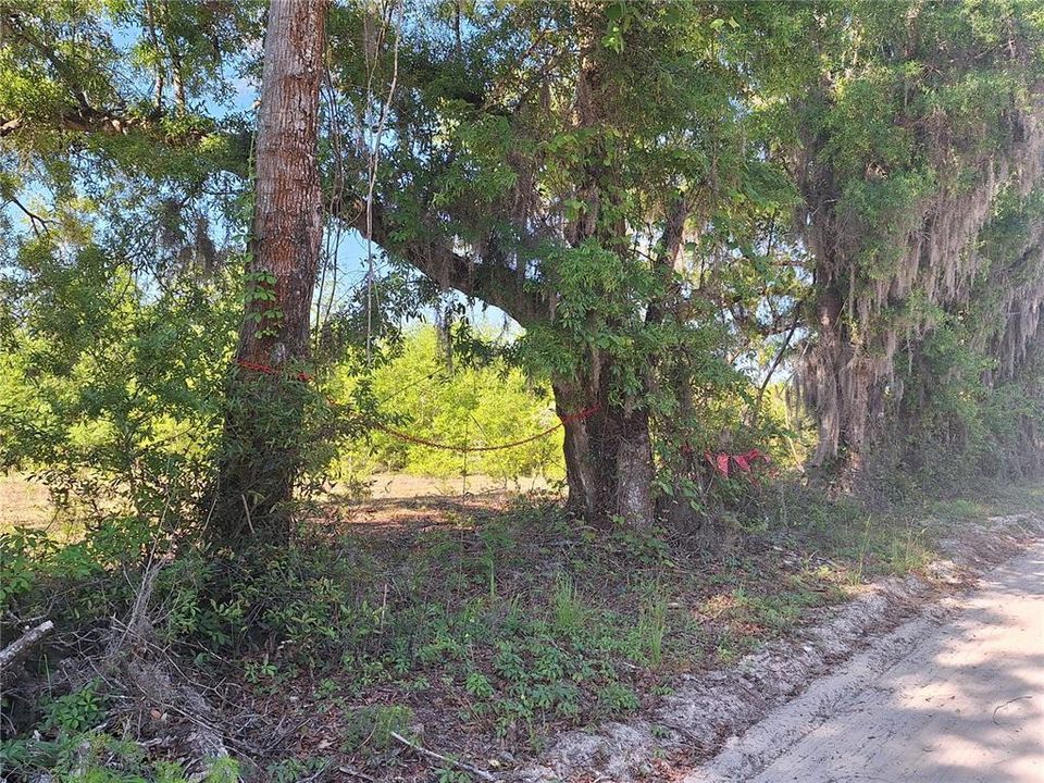 En Venta: $180,000 (20.00 acres)