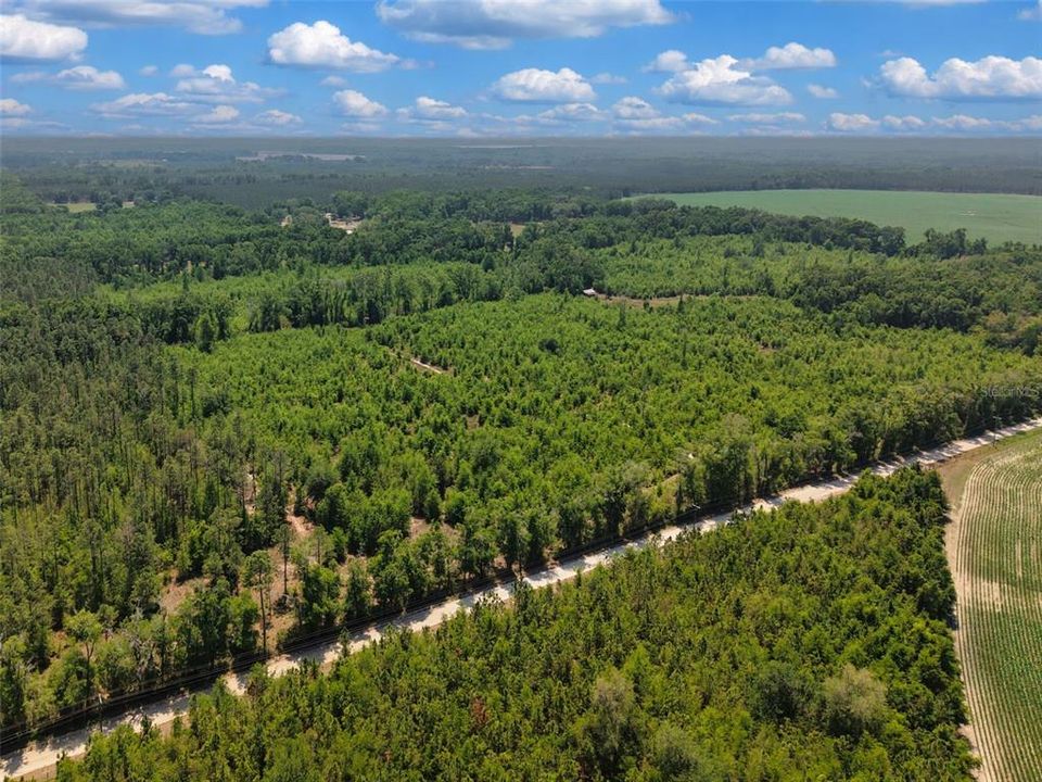 En Venta: $180,000 (20.00 acres)