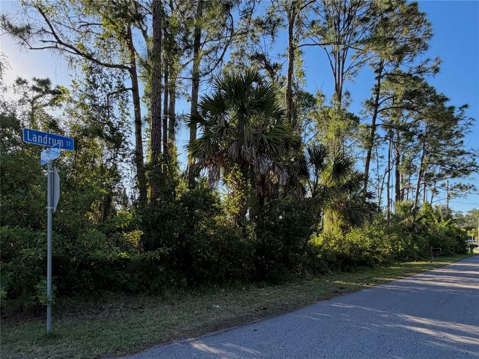 For Sale: $59,900 (0.47 acres)