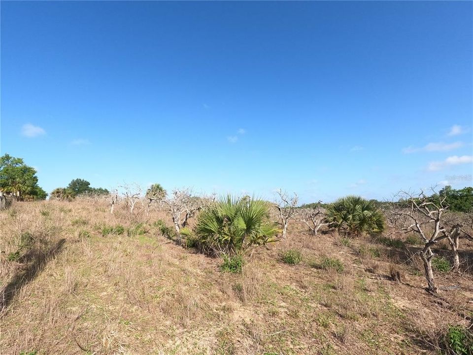 En Venta: $850,000 (11.81 acres)
