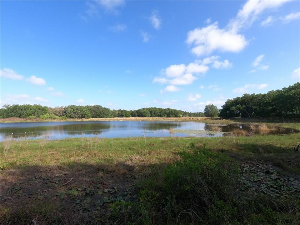 En Venta: $850,000 (11.81 acres)