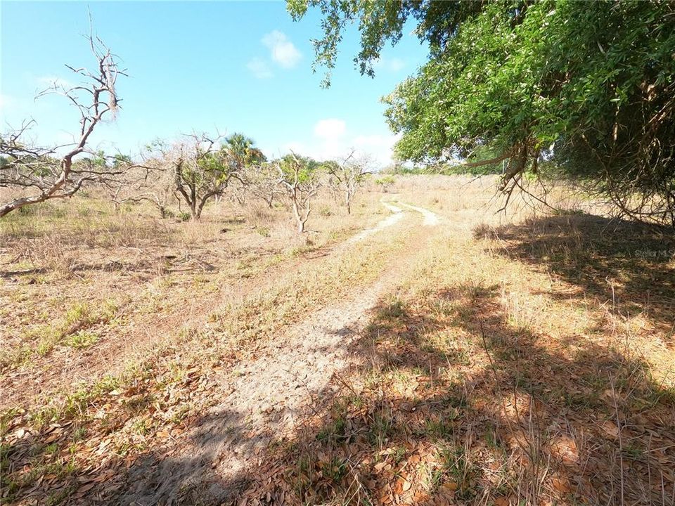 En Venta: $850,000 (11.81 acres)