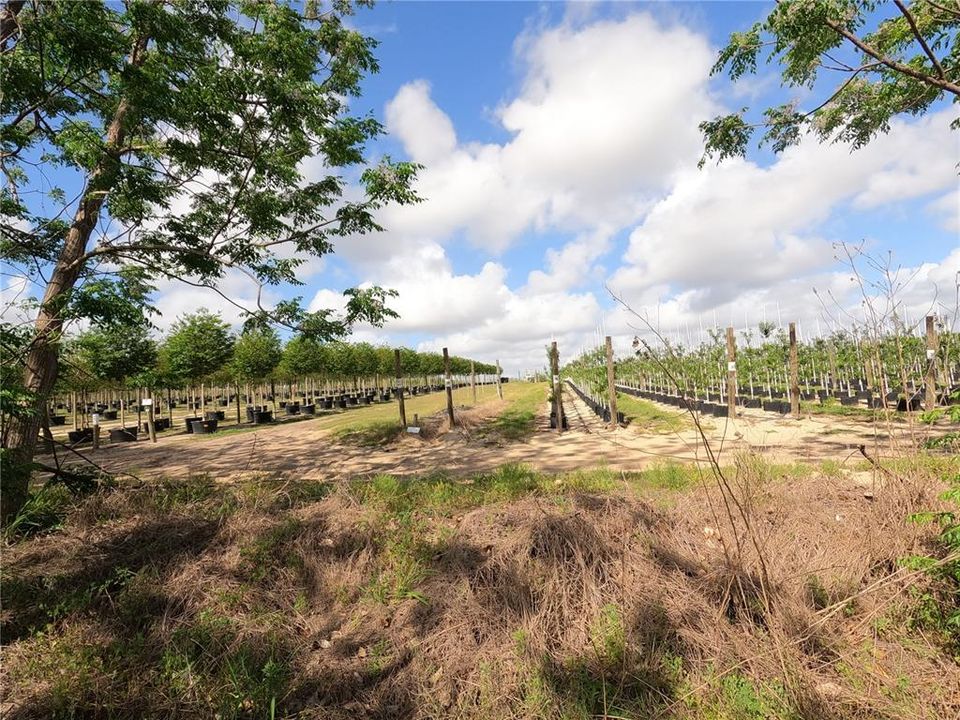 En Venta: $850,000 (11.81 acres)