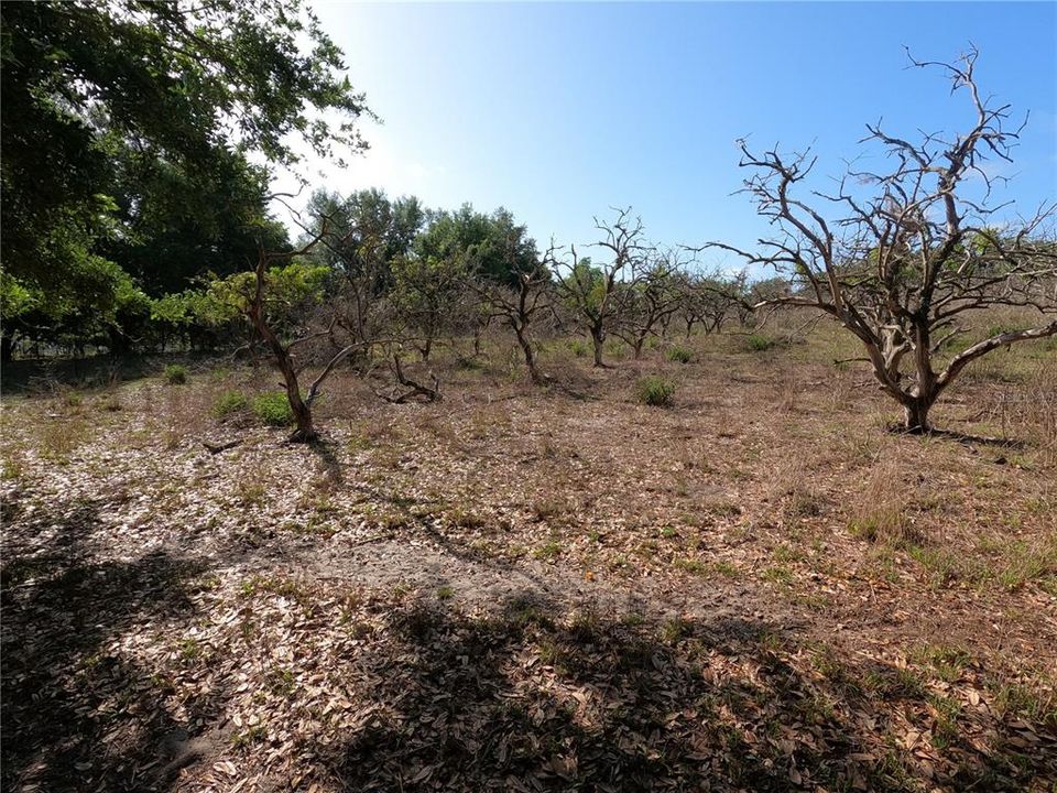 En Venta: $850,000 (11.81 acres)