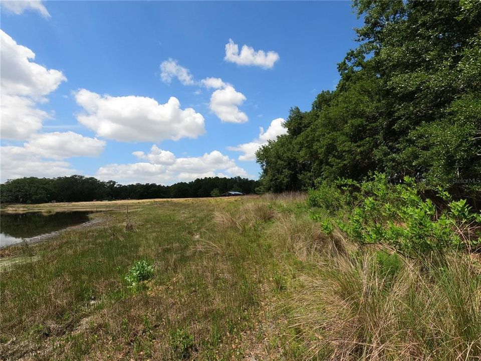 En Venta: $850,000 (11.81 acres)