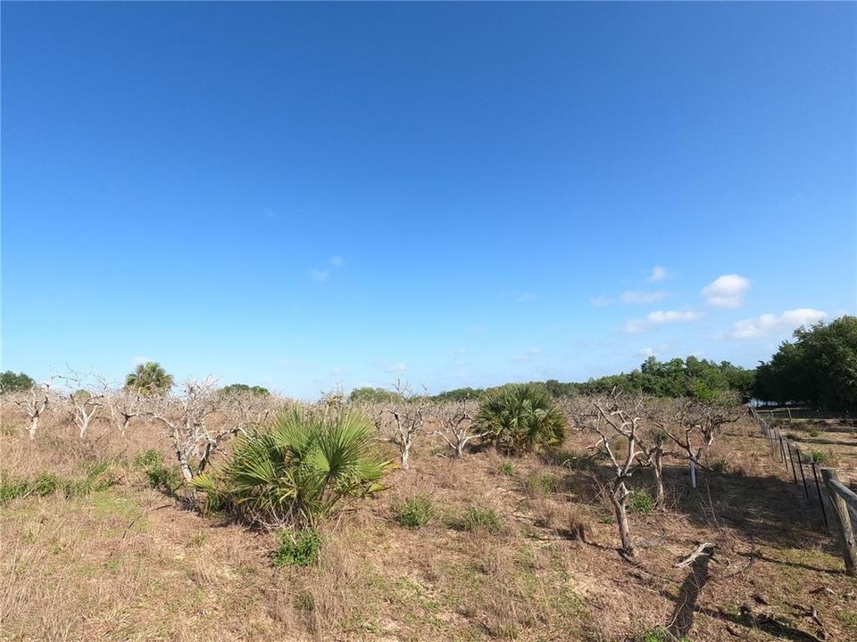 En Venta: $850,000 (11.81 acres)