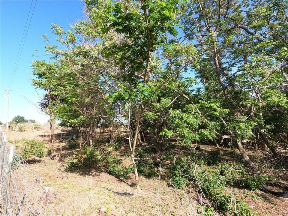 En Venta: $850,000 (11.81 acres)