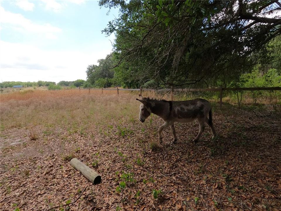 En Venta: $850,000 (11.81 acres)