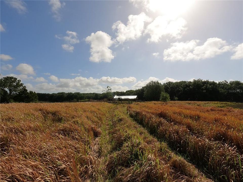 En Venta: $850,000 (11.81 acres)