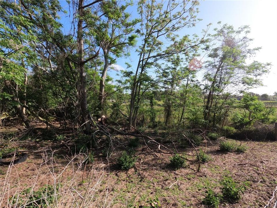 En Venta: $850,000 (11.81 acres)