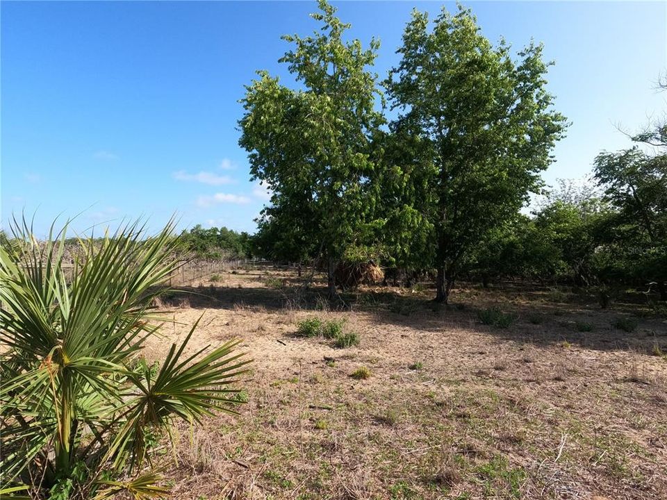 En Venta: $850,000 (11.81 acres)