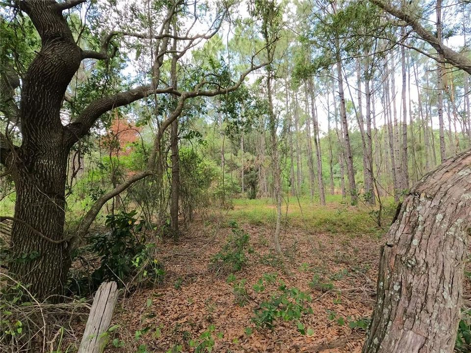 En Venta: $850,000 (11.81 acres)