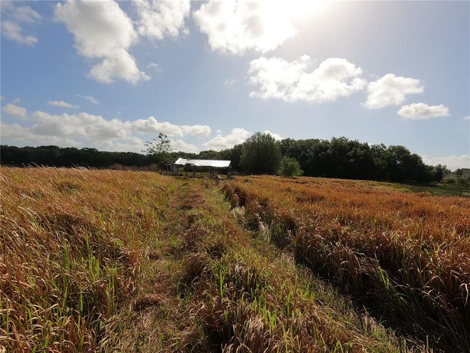 En Venta: $850,000 (11.81 acres)