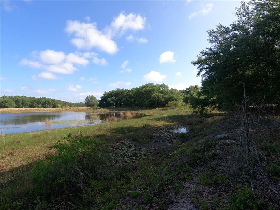 En Venta: $850,000 (11.81 acres)