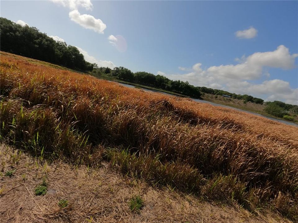 En Venta: $850,000 (11.81 acres)