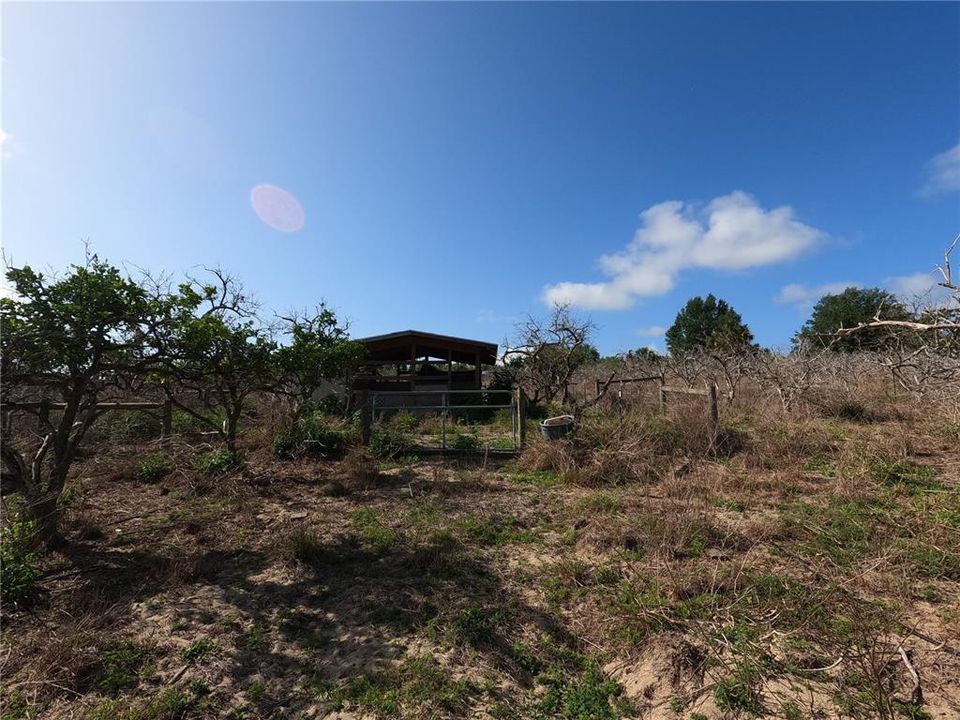 En Venta: $850,000 (11.81 acres)