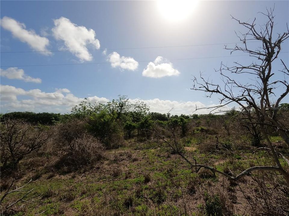 En Venta: $850,000 (11.81 acres)