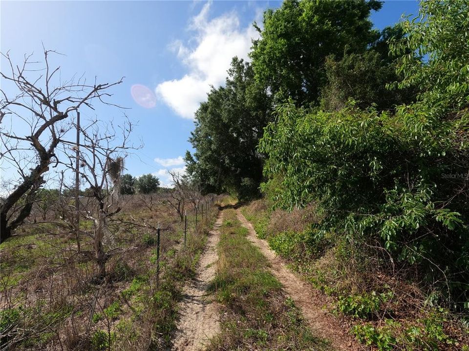 En Venta: $850,000 (11.81 acres)