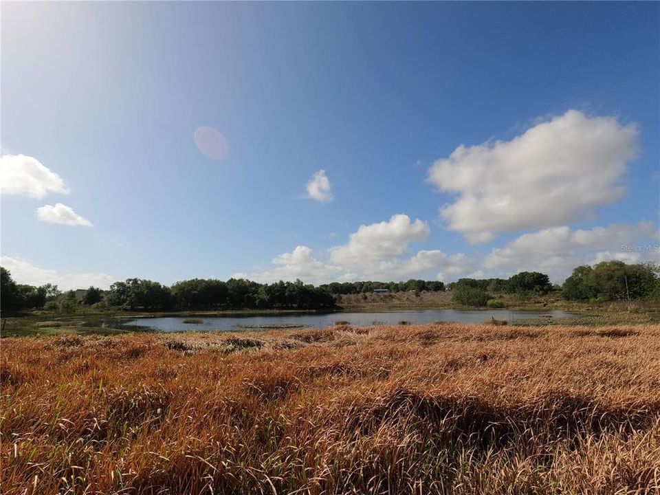 En Venta: $850,000 (11.81 acres)