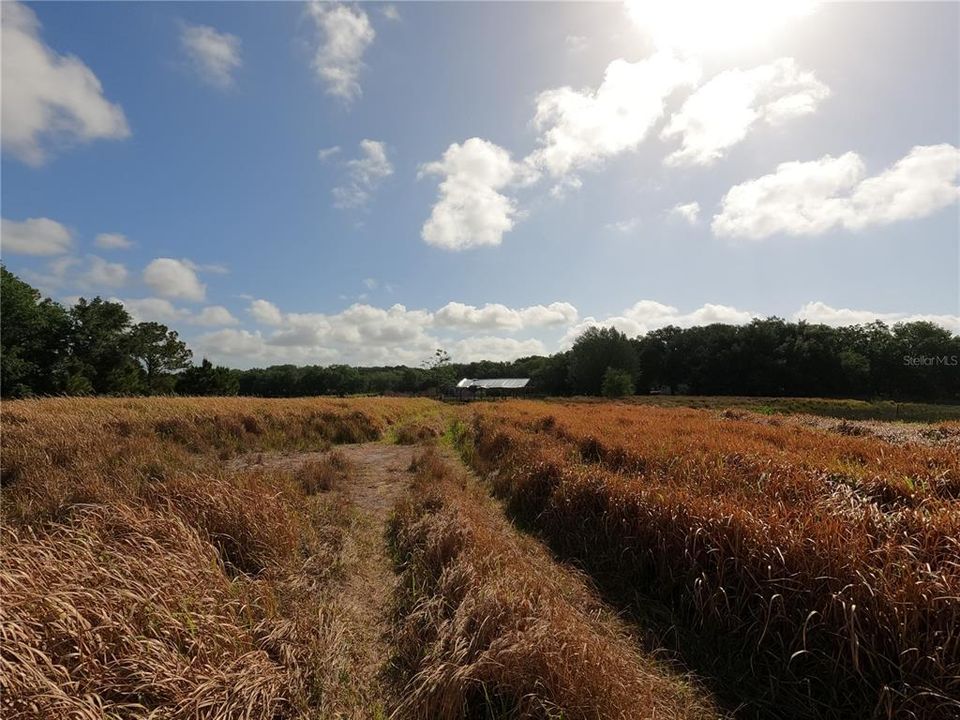 En Venta: $850,000 (11.81 acres)